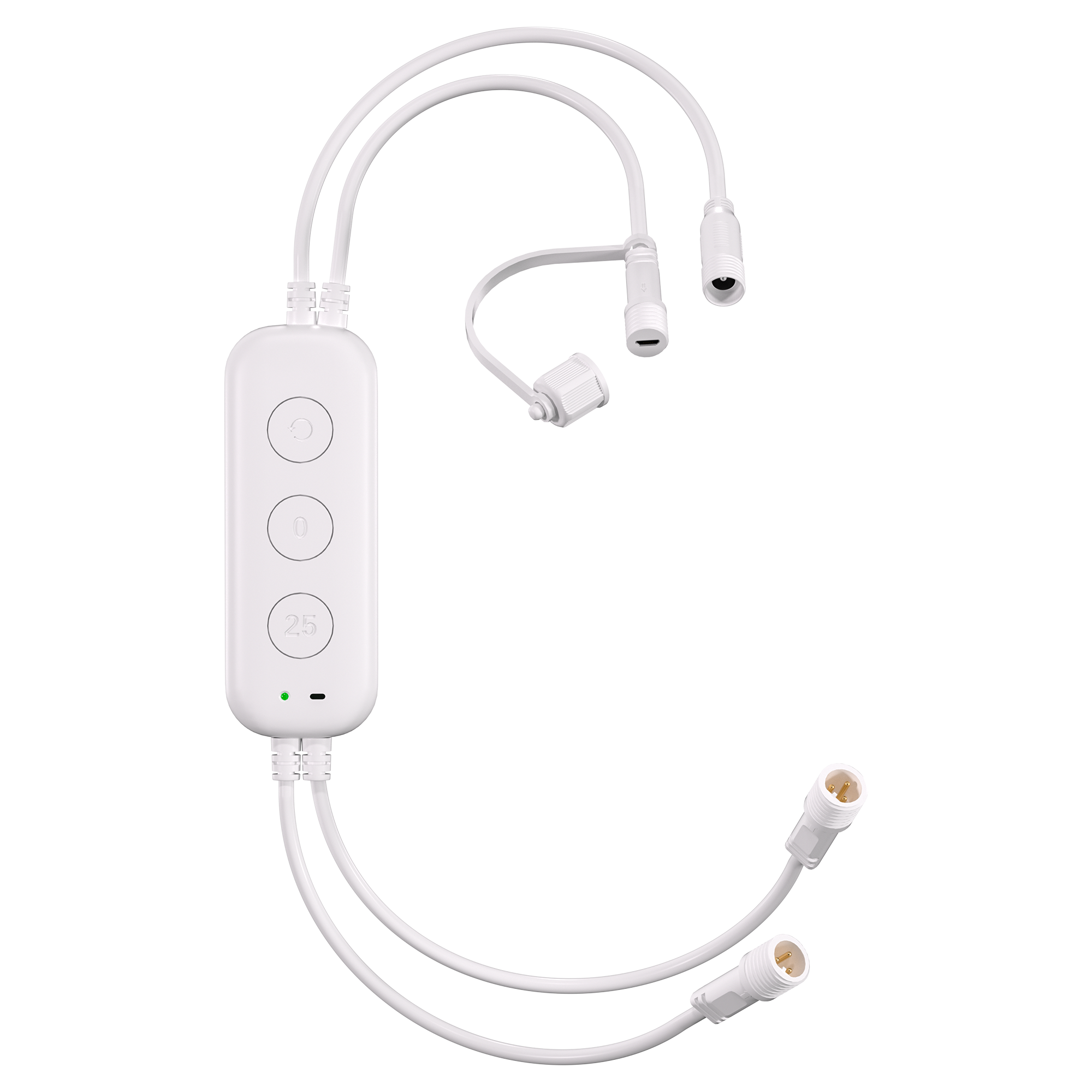 WLED Controller for Permanent Outdoor Lights TypeB White